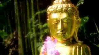 Scary Buddha Commercial With Виd Logo