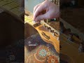 Guitar bone nut