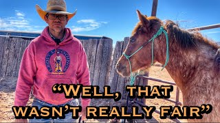 : YEARLING round pen work w/colt starter HENSON WINN