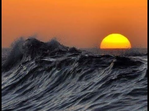 Moon Lovers And Moonlight At Night عشاق ضوء القنمر ليلا