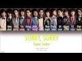 Super junior   sorry sorry color coded lyrics hanromeng