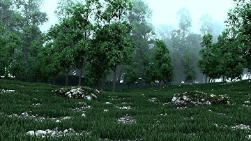 Creating rain forest using | Quixel Megascans - Cinema4d- Corona renderer |