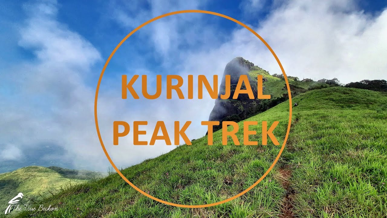 kurinjal trek vs kudremukh trek