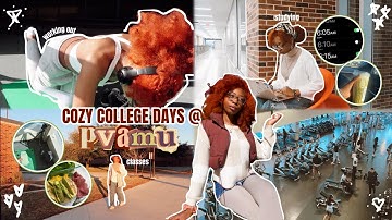 a cozy and productive first week of college vlog *spring semester, sophomore year at pvamu*