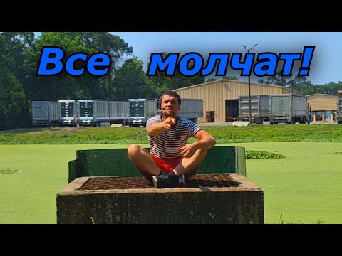 видео: Почему всё так..!?