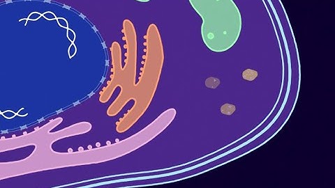 Low-complexity domains: structures & functions