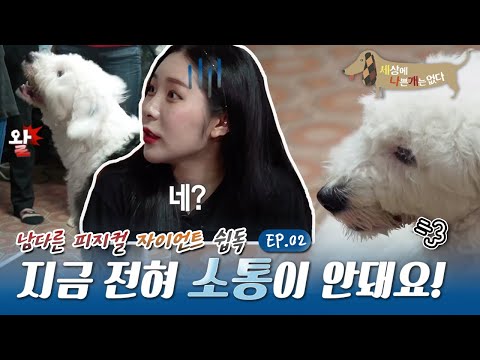 세상에 나쁜 개는 없다 - 모녀 3대와 쉽독의 전쟁_#002