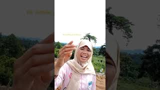 Pantun Dila Bodimu Kayak Selimut Aduh Buset