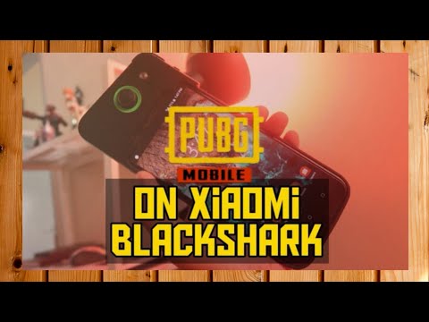 Tes Main PUBG mobile di Hp Xiaomi Black Shark