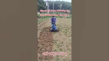 Máy xới đất chạy dầu kama 173F 85kg.#máyxớiđất #kama173f #kama #kachita #ahm #icc #lamruong #lamvuon