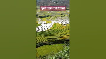 ছোট্ট সূরা আবেগ তাড়িত কন্ঠে | সূরা আল কাওসার |Surah Al Kausar | سورة الكوثر | تلاوة القرآن Tilawat