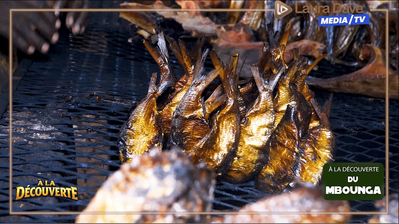🎥 À LA DÉCOUVERTE DU MBOUNGA !