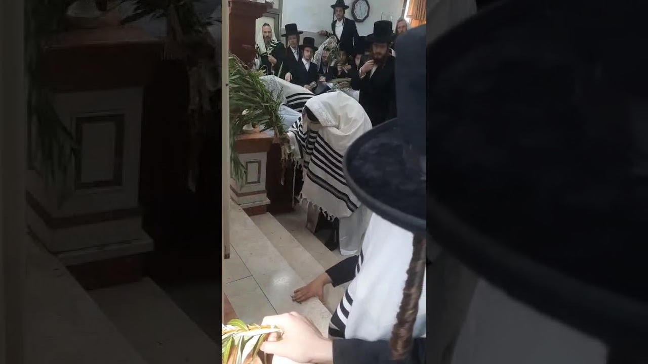 Hoshana Rabbah 5786 With Makava Rav