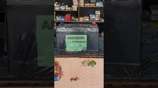 Tractor Battery number 1 #viral #shortvideo #battery #tractor #electrical