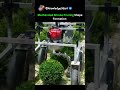 Mechanized Shrubs Pruning Shape Formation