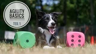 Agility Trainingsideen | Basics Teil 1