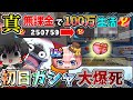 ぷにぷに【大爆死】無課金垢で初日ガシャを引いたらまさかの破産の危機…【五等分の花嫁コラボ】【おはじき】【無課金】part32