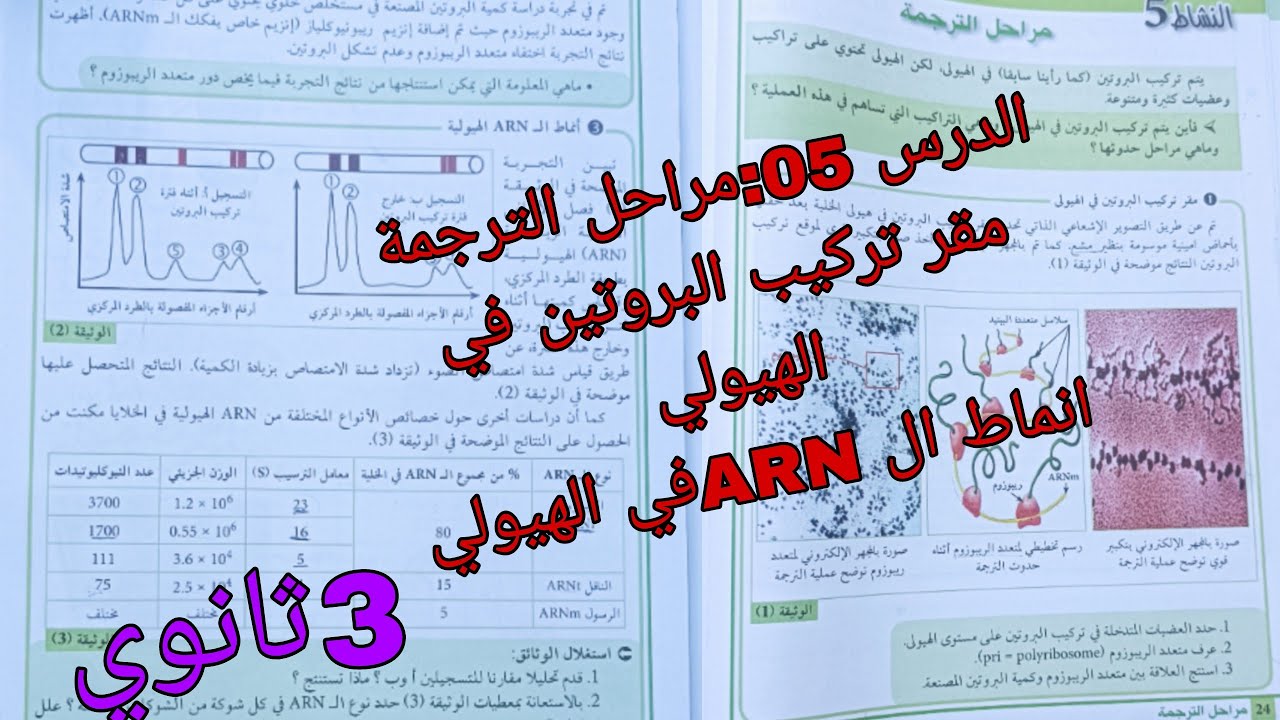الدرس 05:مراحل الترجمة /مقر تركيب البروتين في الهيولي _انماط الARNالهيولية سنة ثالثة ثانوي باك2024
