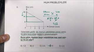 10 Mum Problemleri Sıfırdan Sonsuza Problemler