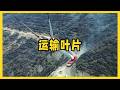 70米巨型葉片運輸,全程驚險震撼 #风力发电,叶片运输,70米,巨型巨物,硬核物流