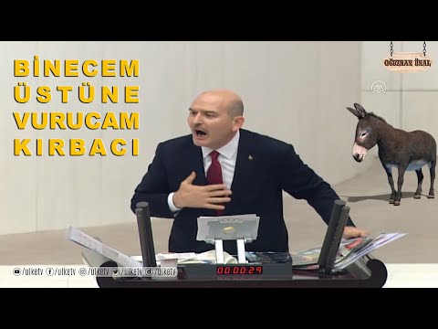 Süleyman Soylu: Oh Ya! Fıstık Benim Olacak, Binecem Üstüne Vuracam Kırbacı