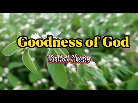 Goodness of God  Bethel Music   hillsongworship  audio  musicwithlyrics