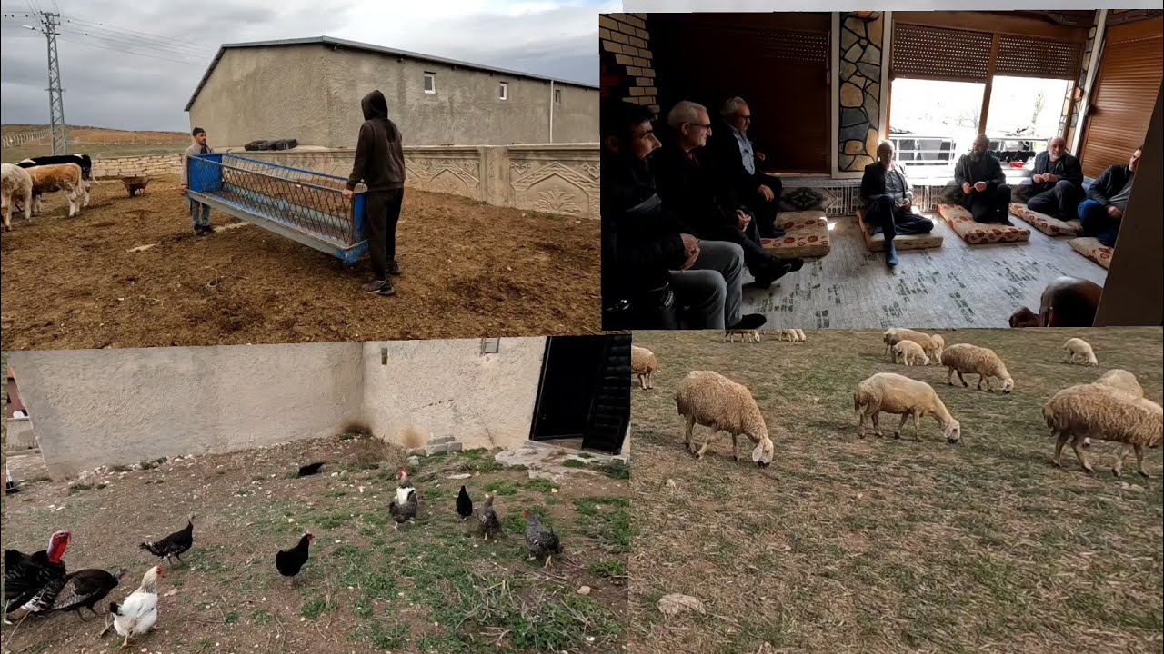 ARİFE GÜNÜ BAYRAM 2 Cİ GÜNÜ TAM ANLAMIYLA KÖY HAYATI