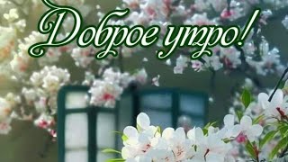 Доброе утро😊💖 Только счастья, добра и везения💖 И отличного всем настроения💗💗💗