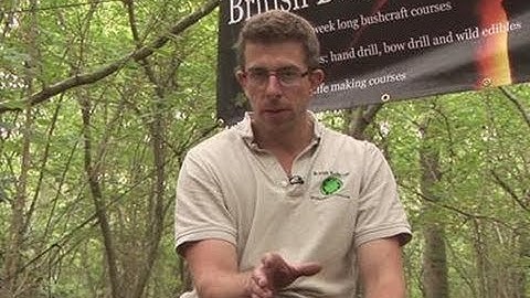 How To Survive A Bear Attack Without Getting Hurt