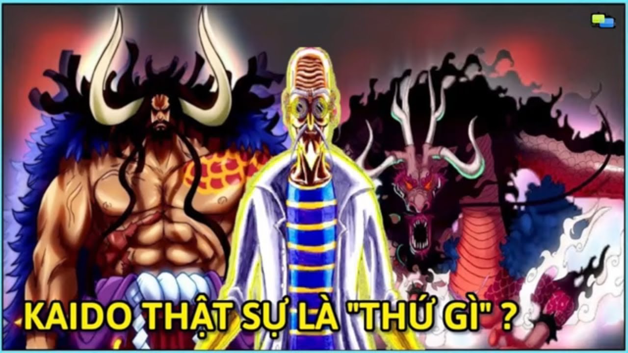 Kaido thật sự là 