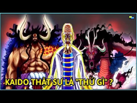 Video Kaido thật sự là 