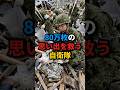 【自衛隊】泥の中から「80万枚の写真」を拾い集めた隊員たちの真実#自衛隊 #感動する話 #思い出 #写真
