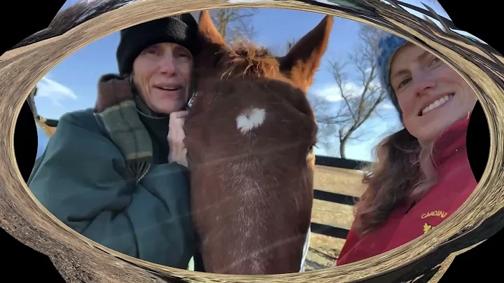 Freedom Hill Horse Rescue:  A Day at the Barn