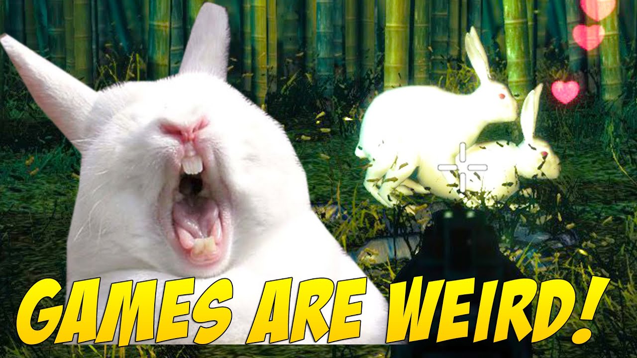 Disturbing Bunnies Games Are Weird 133 YouTube