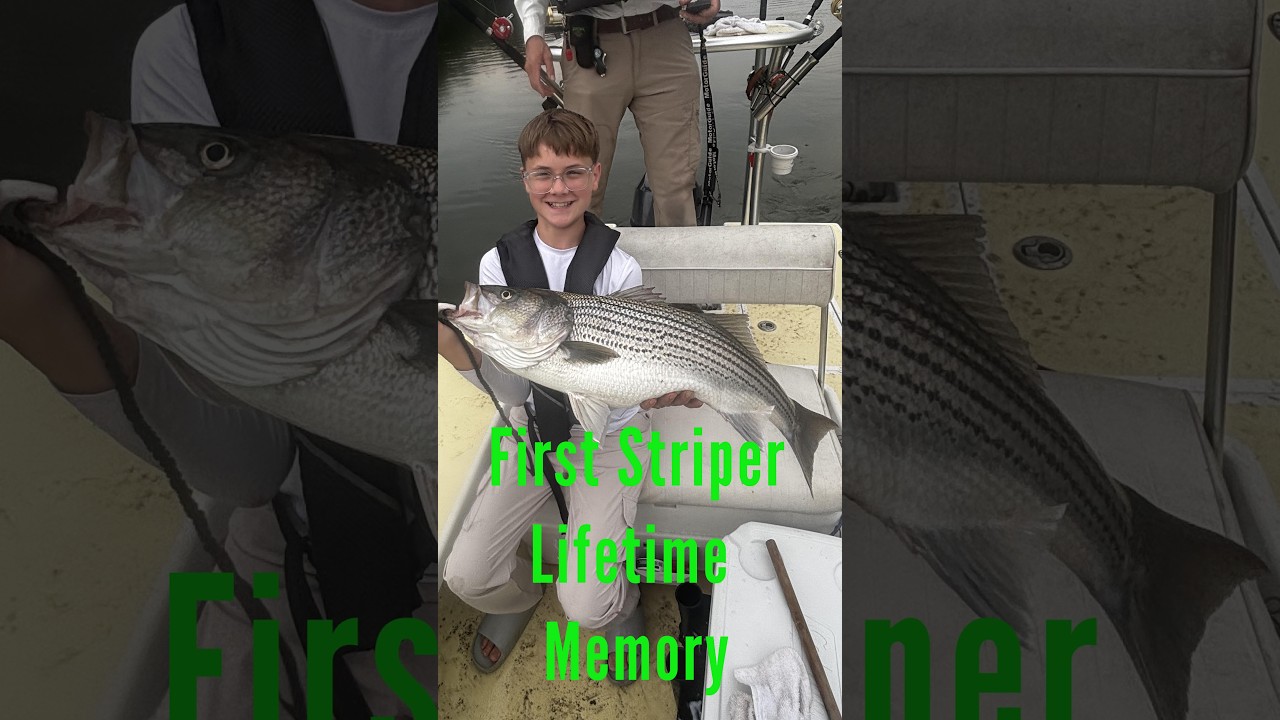 First Striper Lifetime Memory #stripedbass #fishing #livebaitfishing