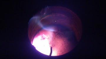 Preparation of iron sulfide