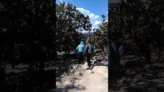 Camino a San Juan de los Lagos