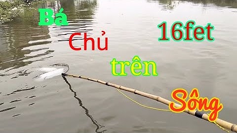 thực tế tet máy 16 fet siêu rô phi v tổng hợp các loại cá trước gửi khách. lh ĐT Zalo 0362921480