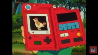 pokedex #017 pidgeotto Parte 1