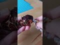 Unwrapping Turtle Chocolate #unwrapping #sweet #chocolate #shorts #asmr #yummy #candy