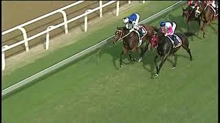 20190324 Express clip Greyville Race 6 won by THE SULTANS BAZAAR