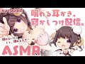 【高音質ASMR】眠れない夜に。お耳を気持ちよくする耳かき【イヤホン必須】