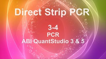 Direct Strip PCR | 3-4 PCR | ABI QuantStudio 3 & 5