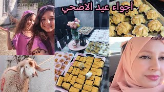 أجواء اول يوم عيد اضحي المباركةلسن. 2026😍بناتي نقاو لي الدوارة وشولي البزلوف 