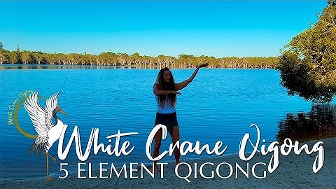 5 ELEMENT QIGONG FOR OPTIMAL HEALTH             #health #fitness #selfcare #motivation