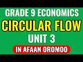 @QaroomaDiinagdee Grade 9 Economics Unit 3: Three-Sector Circular Flow Model | in Afaan Oromoo