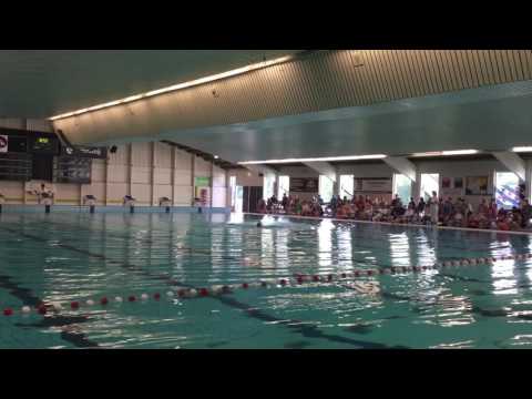 La Reina de las Carretillas Capitulo 16   Completo