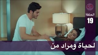 الحب لا يفهم الكلام – الحلقة 19 | لحياة ومراد من