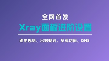 【全网首发】伊朗版xray面板|3x-ui面板进阶设置，详细分享xray设置的各个功能，路由规则、出站规则、负载均衡和DNS，轻松实现流量精细化分流，进一步了解xray设置#一瓶奶油