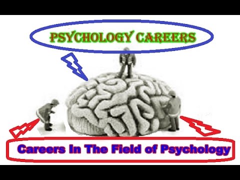 10 Best Psychology Careers -  Psychology Careers / Online Universities